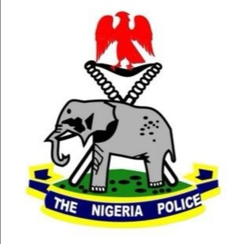 Oraifite Activist in Legal Custody-Anambra Police