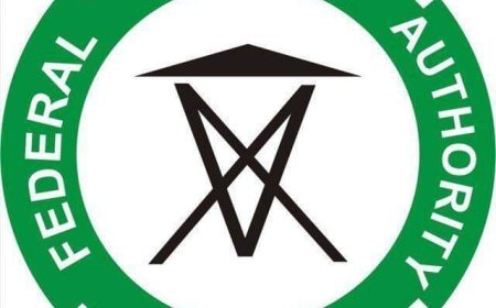 Bandits Run Loose in Abuja, Abduct Director Near Military Base