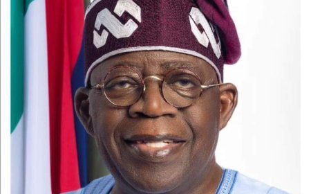 APC Accuses Opposition of Instigating Protests in States