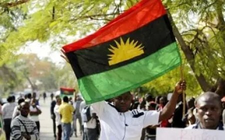 IPOB rejects Gov Mbah’s proposed plan to establish cattle ranch in Enugu