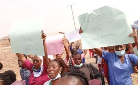 Nurses protest over new certificate verification guidelines in Abuja