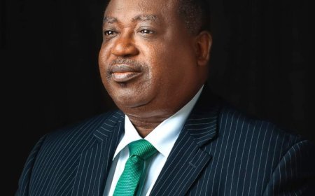 Troops Bust Plateau Gun-Making Factory