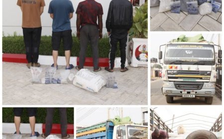 Again,  EFCC Arrests Two Chinese For Illegal Mining In Ilorin