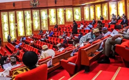 Senate to investigate cement coys on hike in price