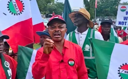Economic hardship: Don’t go on strike, NANS begs NLC