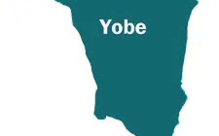 Meningitis kills 20 Nigerian school students