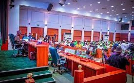 Reps Reject Bill Requiring Presidential  Candidates To Score 0ver 50% Votes