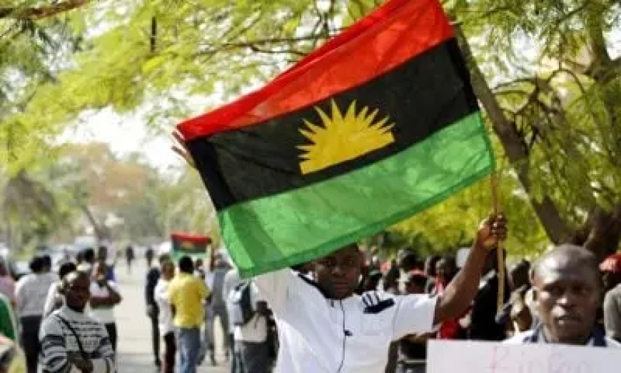 IPOB rejects Gov Mbah’s proposed plan to establish cattle ranch in Enugu