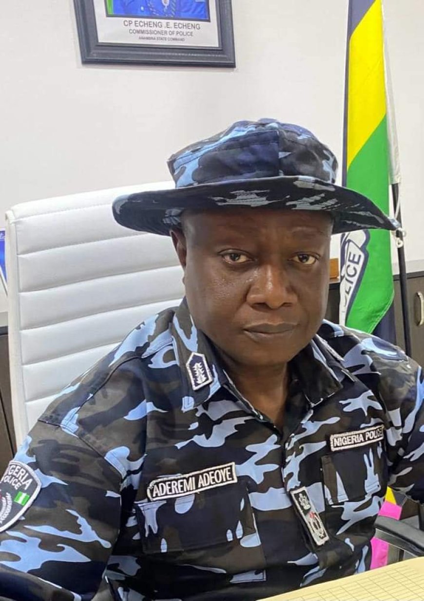 Alleged Multi-Million Fraud: Anambra Police Boss, Adeoye Fingered