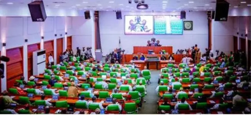 Reps to investigate privatisation, concession of FG Silos