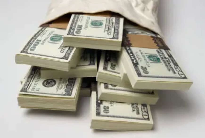 Forex crisis: Some State govs converting monthly allocations to dollars, Activist alleges