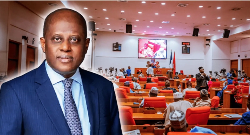 Senate confirms Cardoso, says ‘redirect fiscal policies to ensure Nigerians get out of hardship’