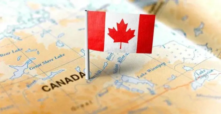 Japa: What to know about working on campus as a foreign student in Canada