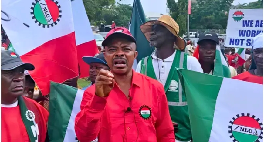 Economic hardship: Don’t go on strike, NANS begs NLC