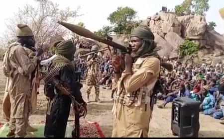 How 95% of people with Boko Haram ideology died – Borno govt