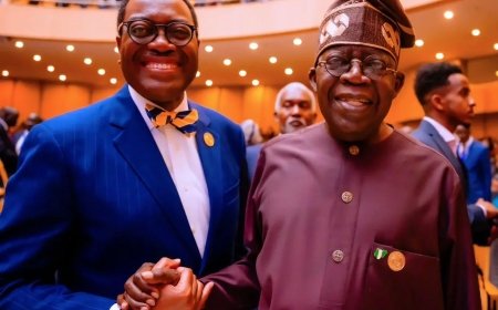 Tinubu congratulates Adesina on Awolowo leadership award