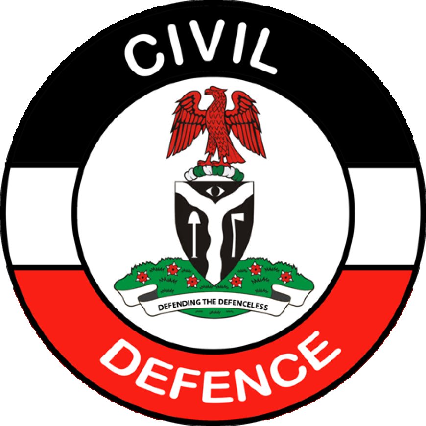 NSCDC Foils Attempted Katsina Silo Attack