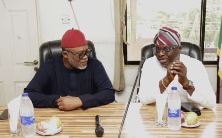 House of Reps Decries Removal of Nigerian Press Council from Budget