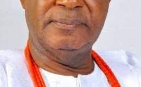 Obi of Onitsha Expands Cabinet