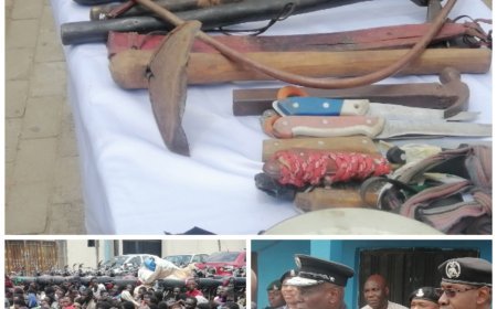 We'll Clean FCT of Criminals,  Police Boss Vows