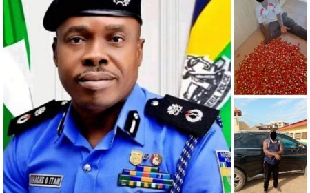Anambra Police Nab Two Secessionists