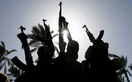 ‘Leave or die’ — ISWAP gives quit notice to Borno communities