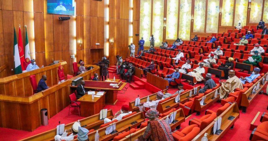 Manufacture or Peddle Drug, Get Ready to Die, Says Nigerian Senate