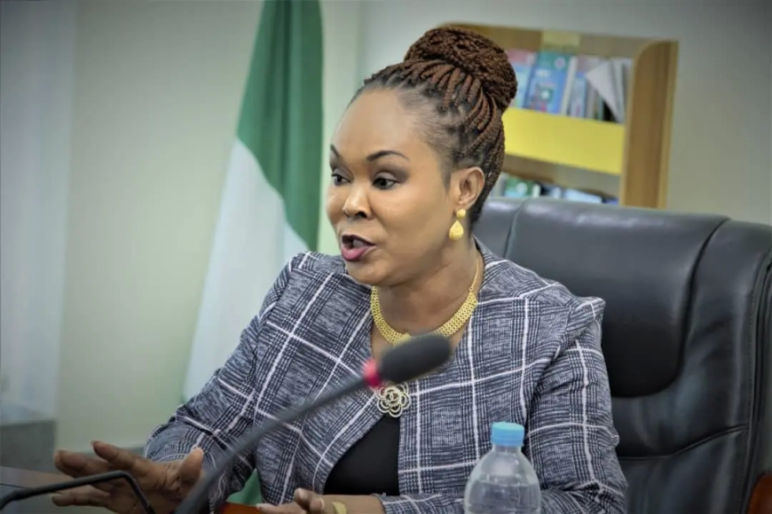 Women Affairs Minister sues Niger Speaker over plans to marry 100 girls