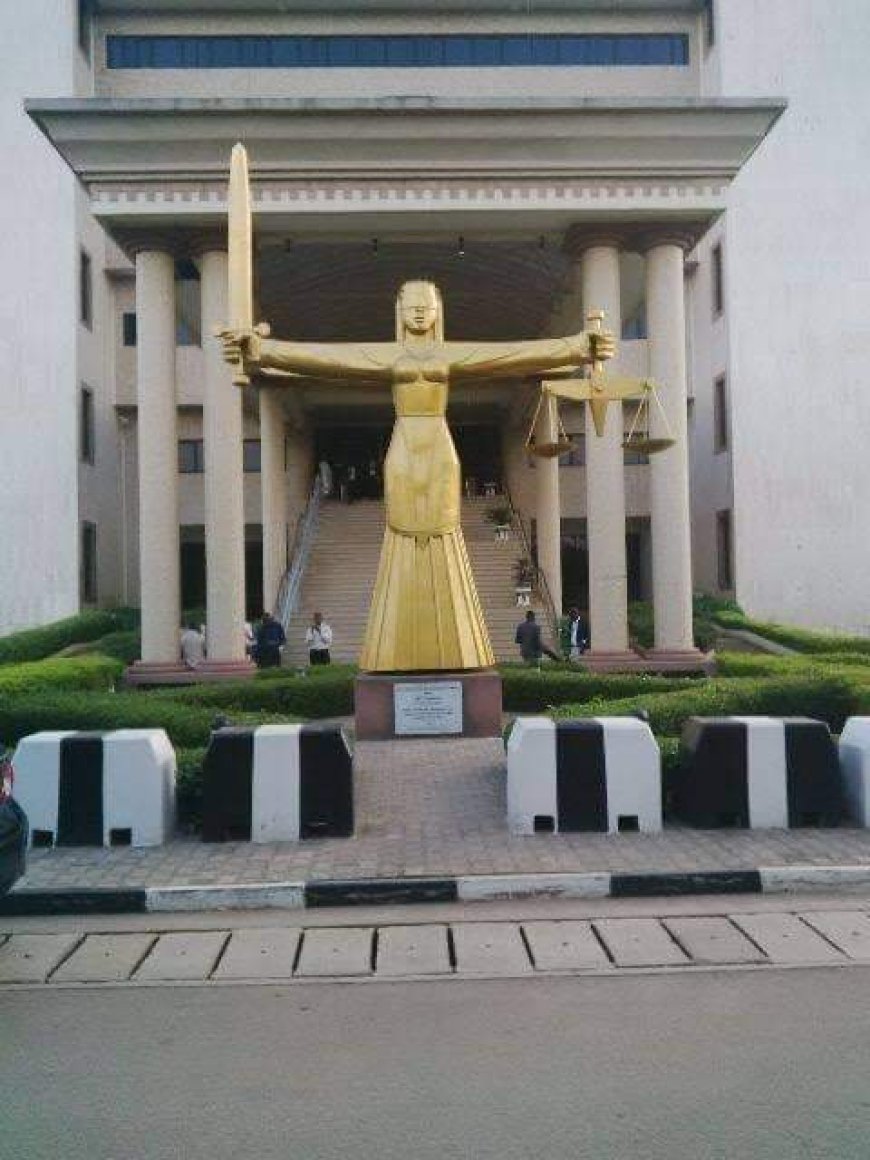 ORGAN HARVESTING HEARING: WHAT REALLY HAPPENED IN COURT