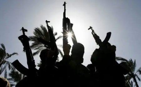 Gunmen kill two policemen in Imo State