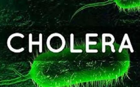 Cholera: Lagos assures of infection prevention, control in schools