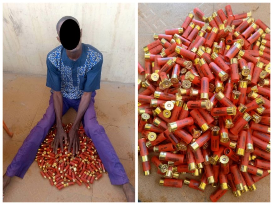 Police Arrest Gun Runner in Onitsha, Recover 375 Live Cartridges