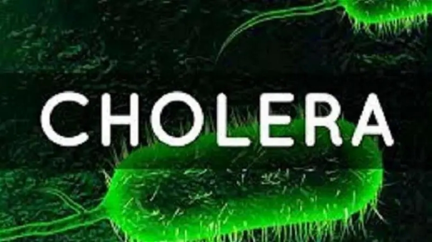 Cholera: Lagos assures of infection prevention, control in schools