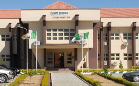 Insecurity in Fed University, dutsina: Members of Staff Are Informants to Bandits,  VC