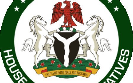 Halt The Samoa Implementation Agreement, Reps Tell Tinubu