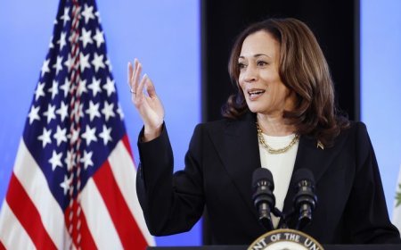 Harris Thanks Biden for Nominating Her