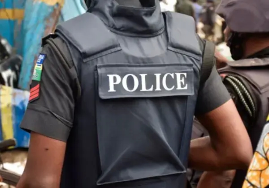Enugu Doctor in Police Net Over Alleged Child Trafficking, Forgery