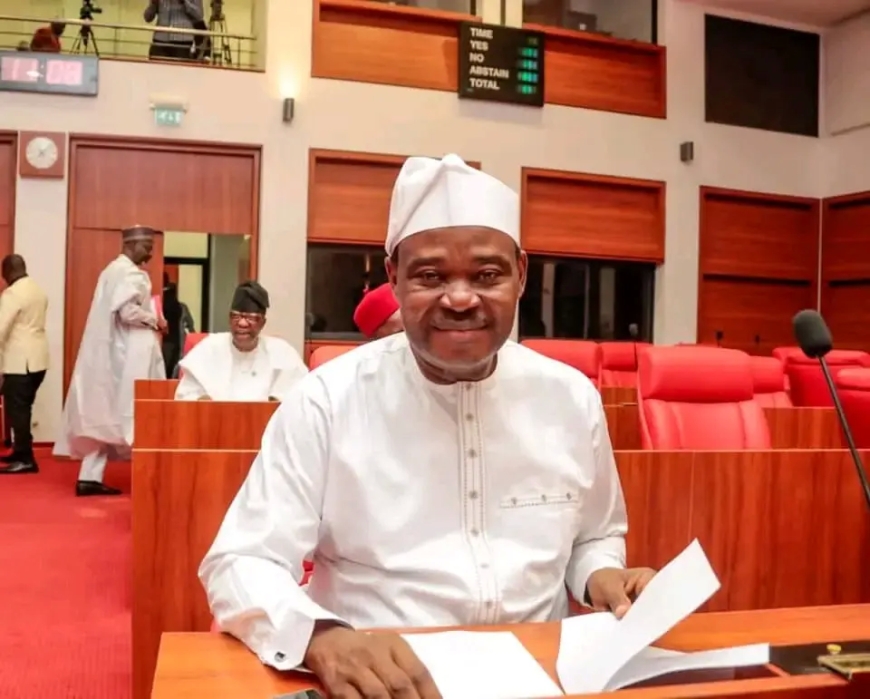 My phone detected 277 guns around Senate chamber — Jimoh Ibrahim