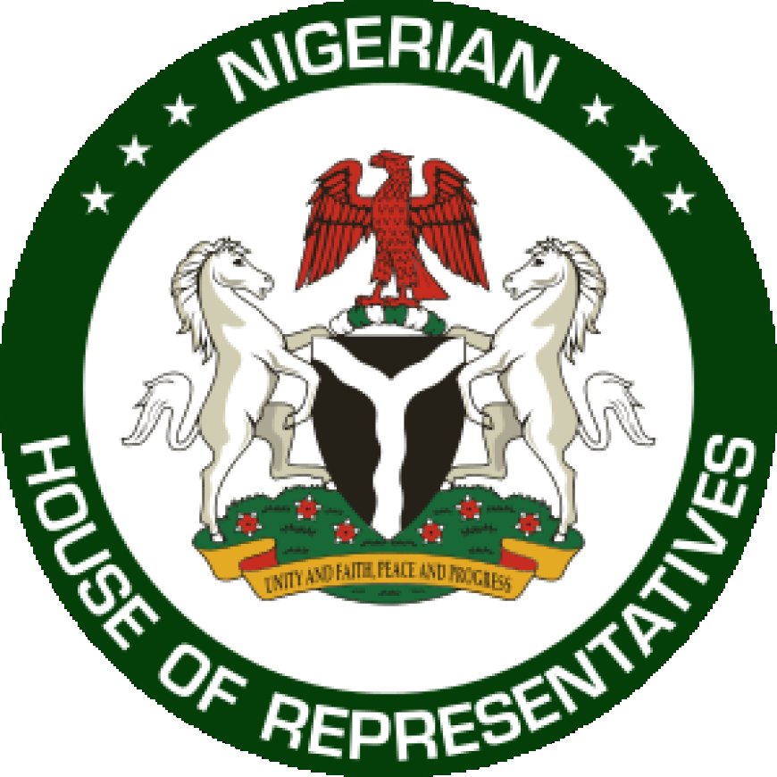 Halt The Samoa Implementation Agreement, Reps Tell Tinubu