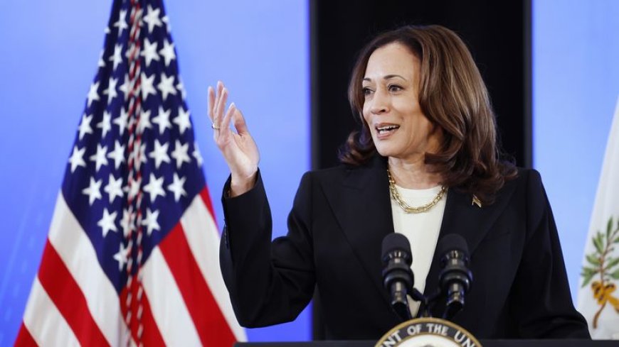 Harris Thanks Biden for Nominating Her