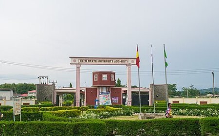 Update on Ekiti Varsity Fmr DVC: Abduction, Murder Master-minded by Domestic Staff-DSS