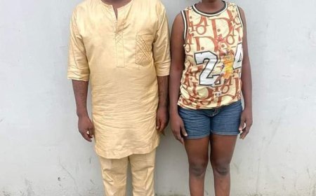 Suicide Bomber Kills 19 in Borno, Injures Dozens