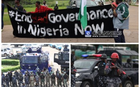 Protest Turns Awry in Asokoro, FCT, 6 killed in Niger as Kano, Yobe Slam 24 hour Curfew on States