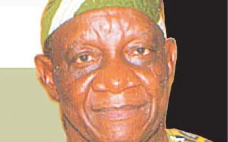 Why most skill acquisition programmes don’t work, by Dele Sobowale