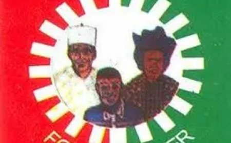 Labour Party suspends Lagos constituency representative for three months