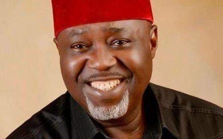 Moghalu Dumps APC, Joins LP