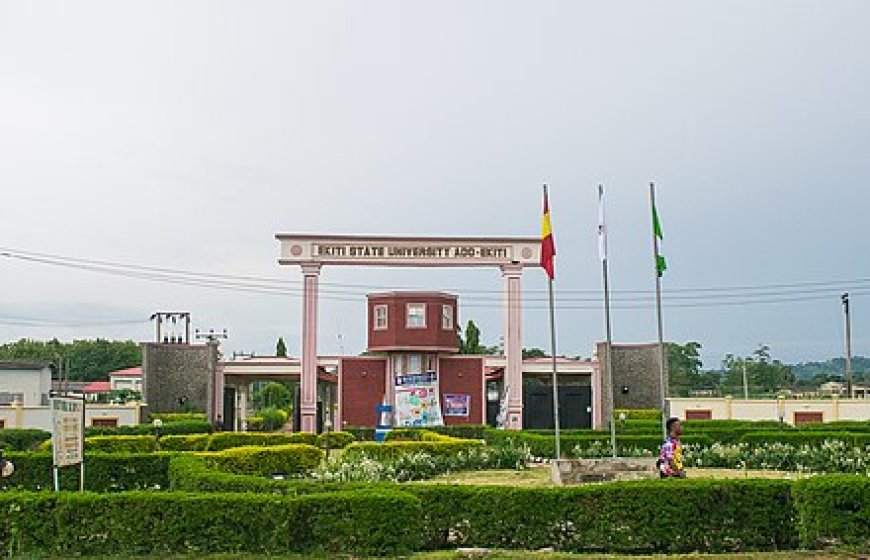 Update on Ekiti Varsity Fmr DVC: Abduction, Murder Master-minded by Domestic Staff-DSS