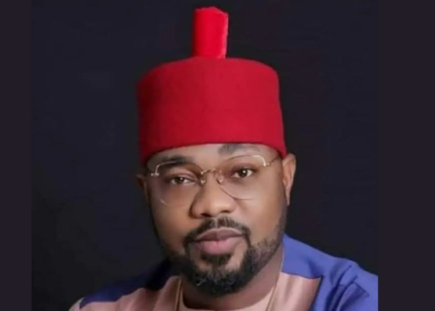 Flashback: How Ikenga Ugochinyere Almost Fraudulently Scuttled APC Registration in 2013
