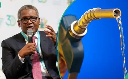 Why My PMS Is Cleaner-Aliko Dangote