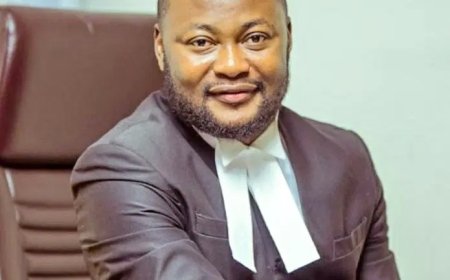 Lawyer urges AGF to drop charges against #EndBadGovernance protesters